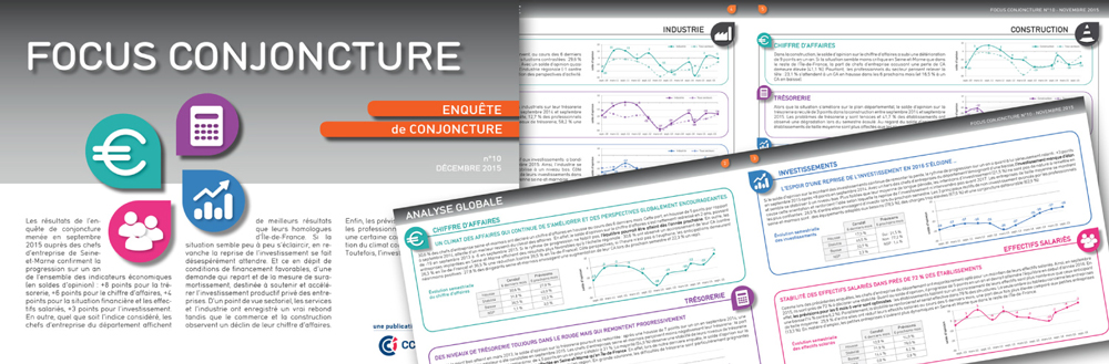 Focus conjoncture, publication CCI Seine-et-Marne
